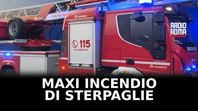 Maxi incendio di sterpaglie a Roma, colonna di fumo