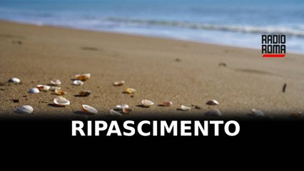 Ripascimento della spiaggia sulla Costa Sud di Fregene