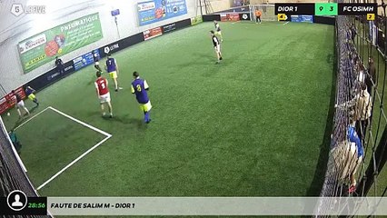 Faute de Salim M - Dior 1