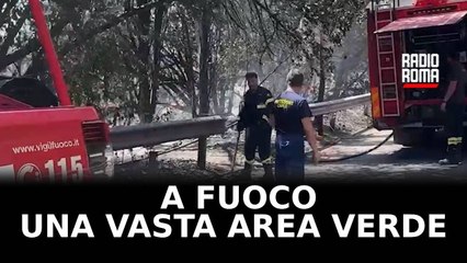 A fuoco area verde vicino a La Rustica