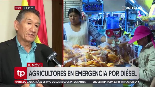 Los bloqueos se levantaron, pero pollos no llegan a Cochabamba ni a La Paz por falta de diésel, señalan comerciantes y avicultores