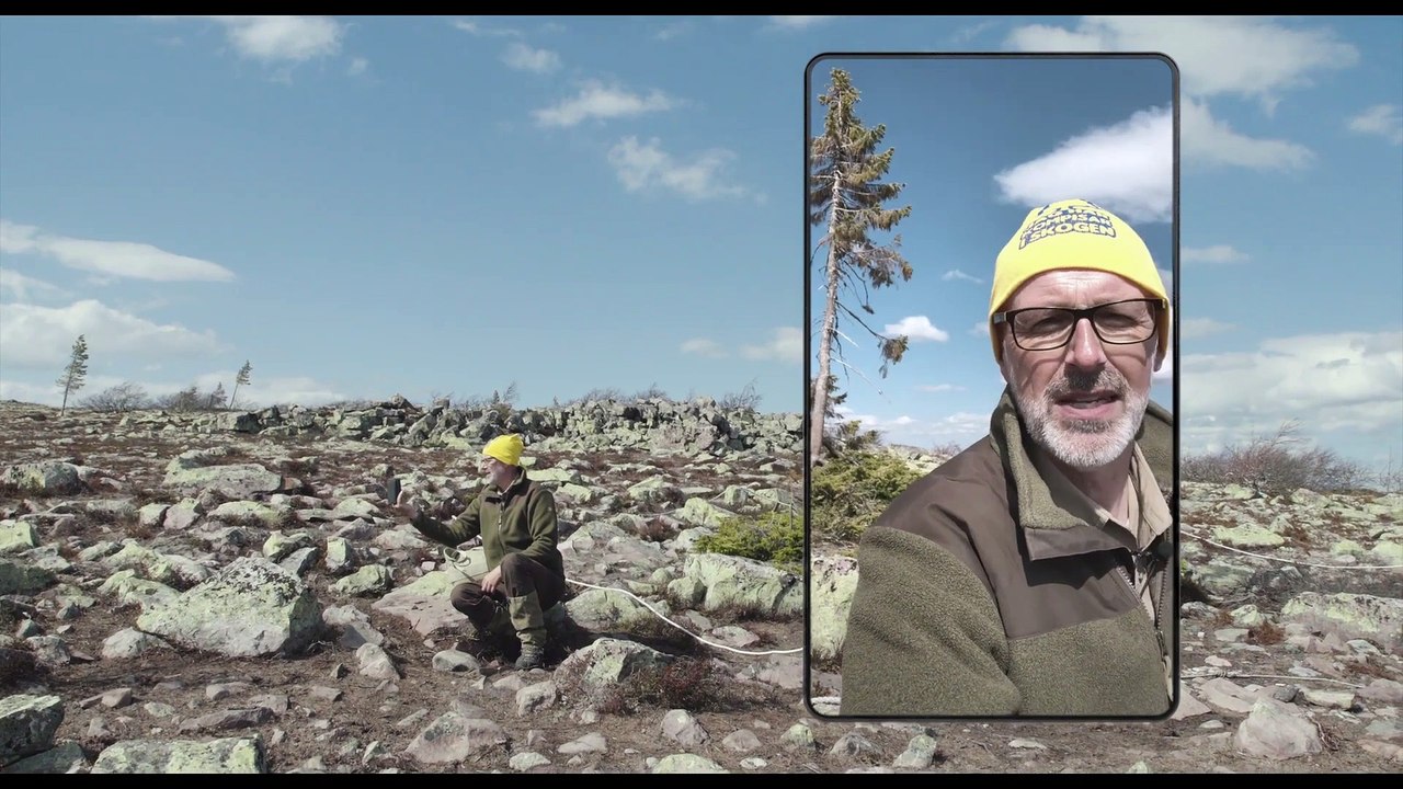 Das geheime Leben der Bäume | movie | 2020 | Official Trailer