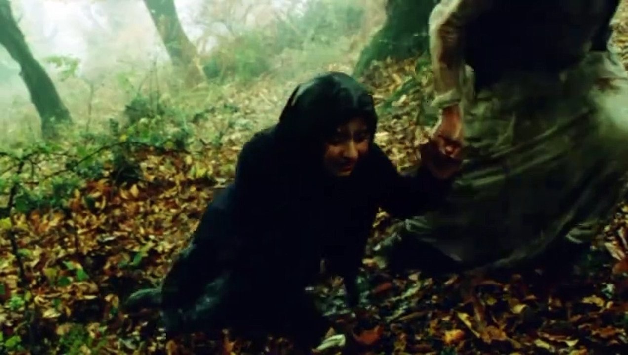 Bad o meh - Wind und Nebel | movie | 2011 | Official Trailer