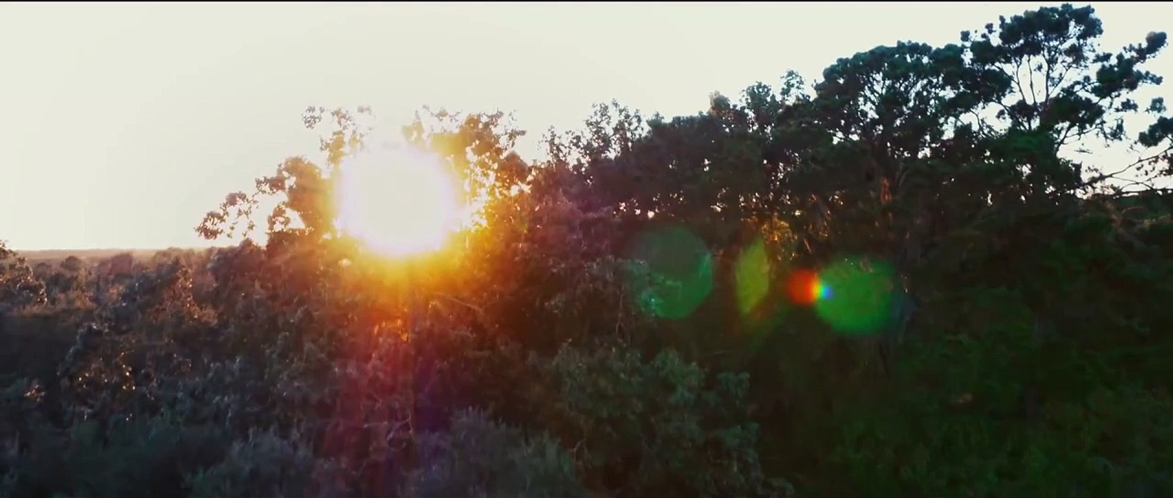 The Birth of a Nation | movie | 2016 | Official Trailer