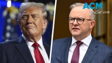 Anthony Albanese congratulates president-elect Donald Trump after election win