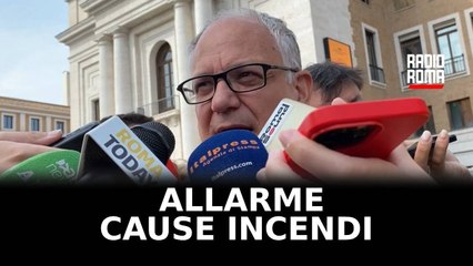 Gualtieri: "La mano dell'uomo dietro agli incendi"