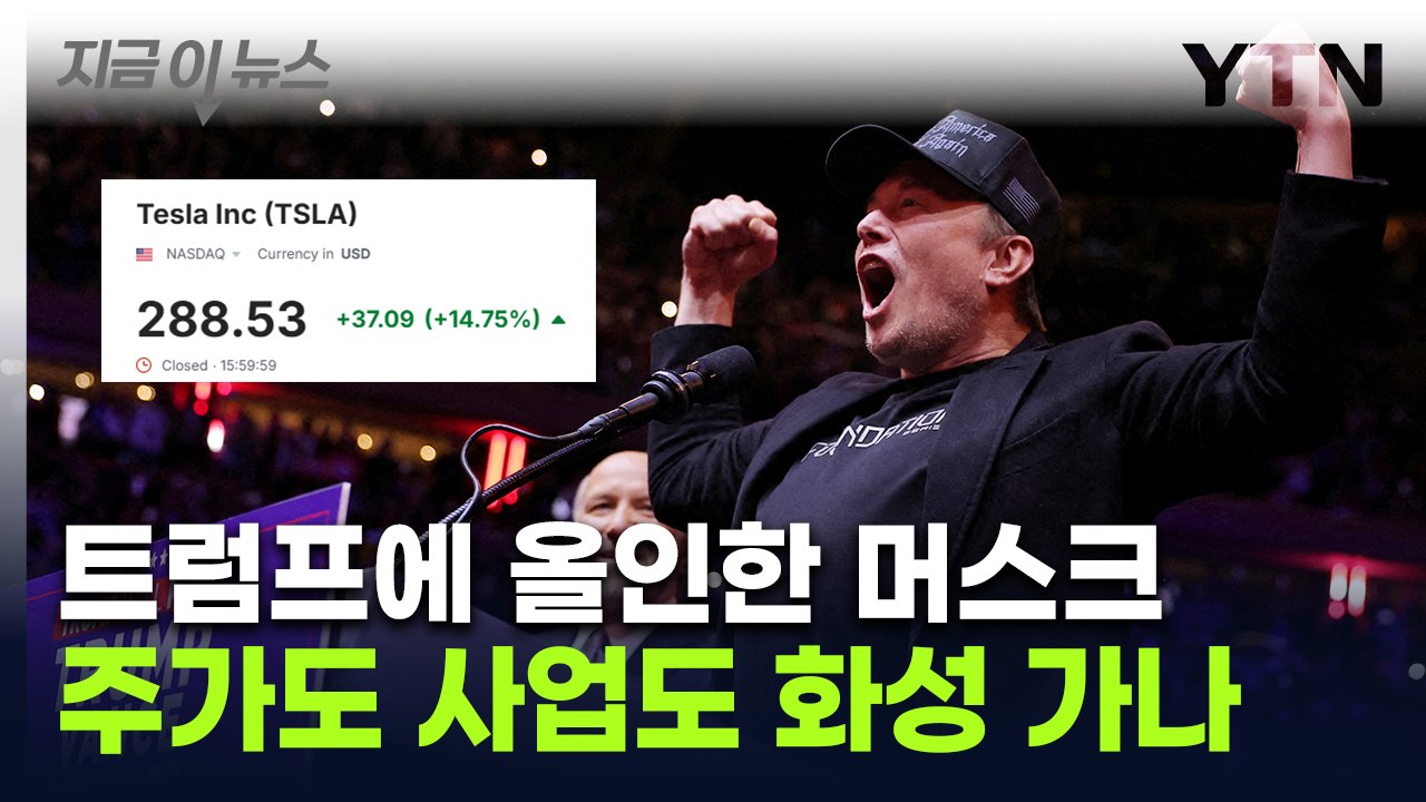 트럼프 "머스크는 슈퍼 천재"...'위험한 베팅' 성공에 테슬라 주가 훨훨 [지금이뉴...