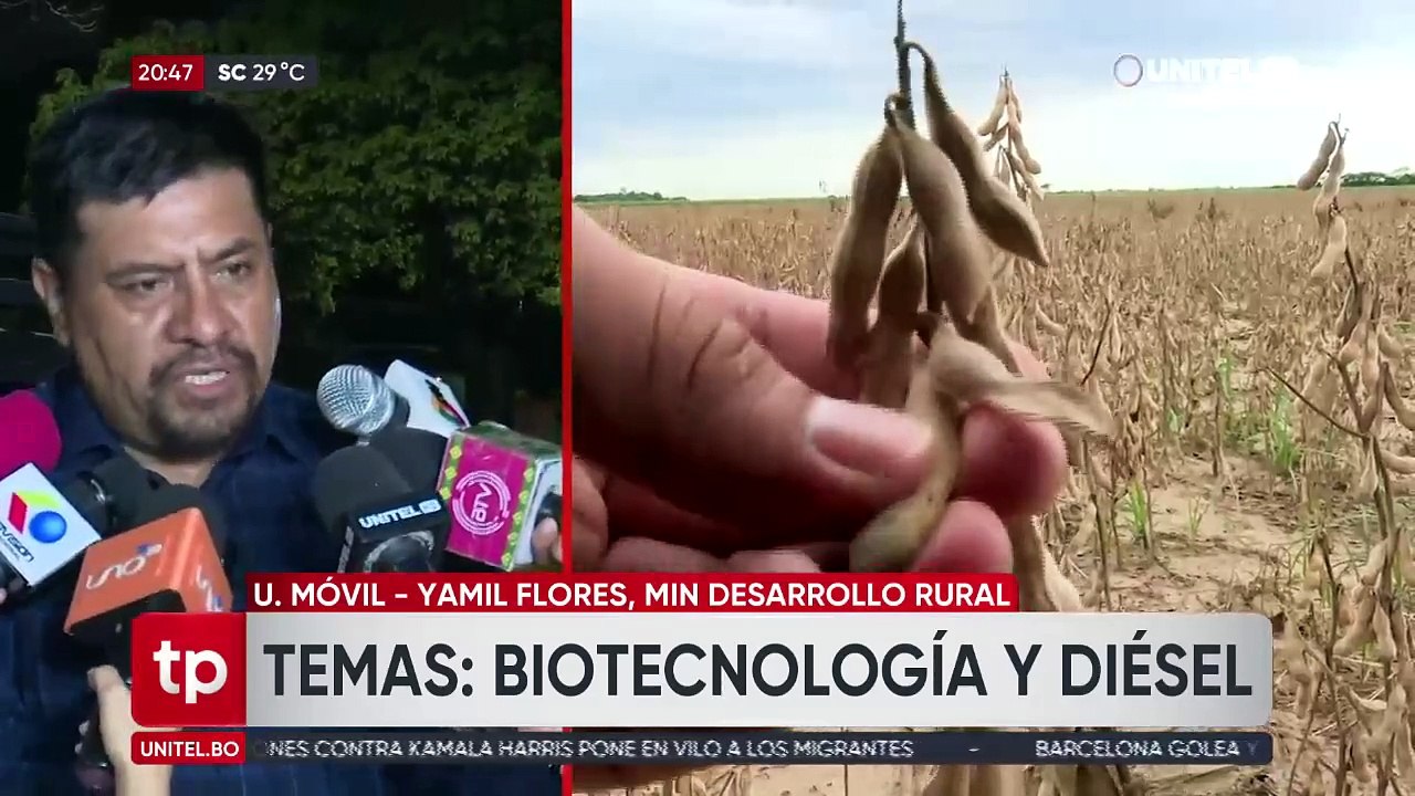 Gobierno oficializa la resolución que da luz verde para el uso de soya HB4 en la campaña de verano 2024 – 2025