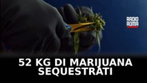 Due arresti e 52 kg di marijuana sequestrati