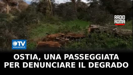 Ostia, una passeggiata per denunciare il degrado nella Pineta di Castel Fusano