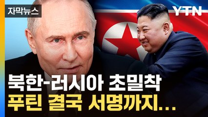 [자막뉴스] '북한 전쟁 나면 도울 것'...푸틴 결단에 전 세계 '긴장' / YTN