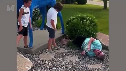 Fails You May Have Missed Best Funny Videos 2024