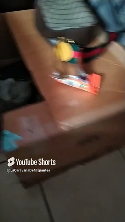 ya andan corriendo y jugando los gatitos de la gata bombay el gato pernanca se la pasa acostado