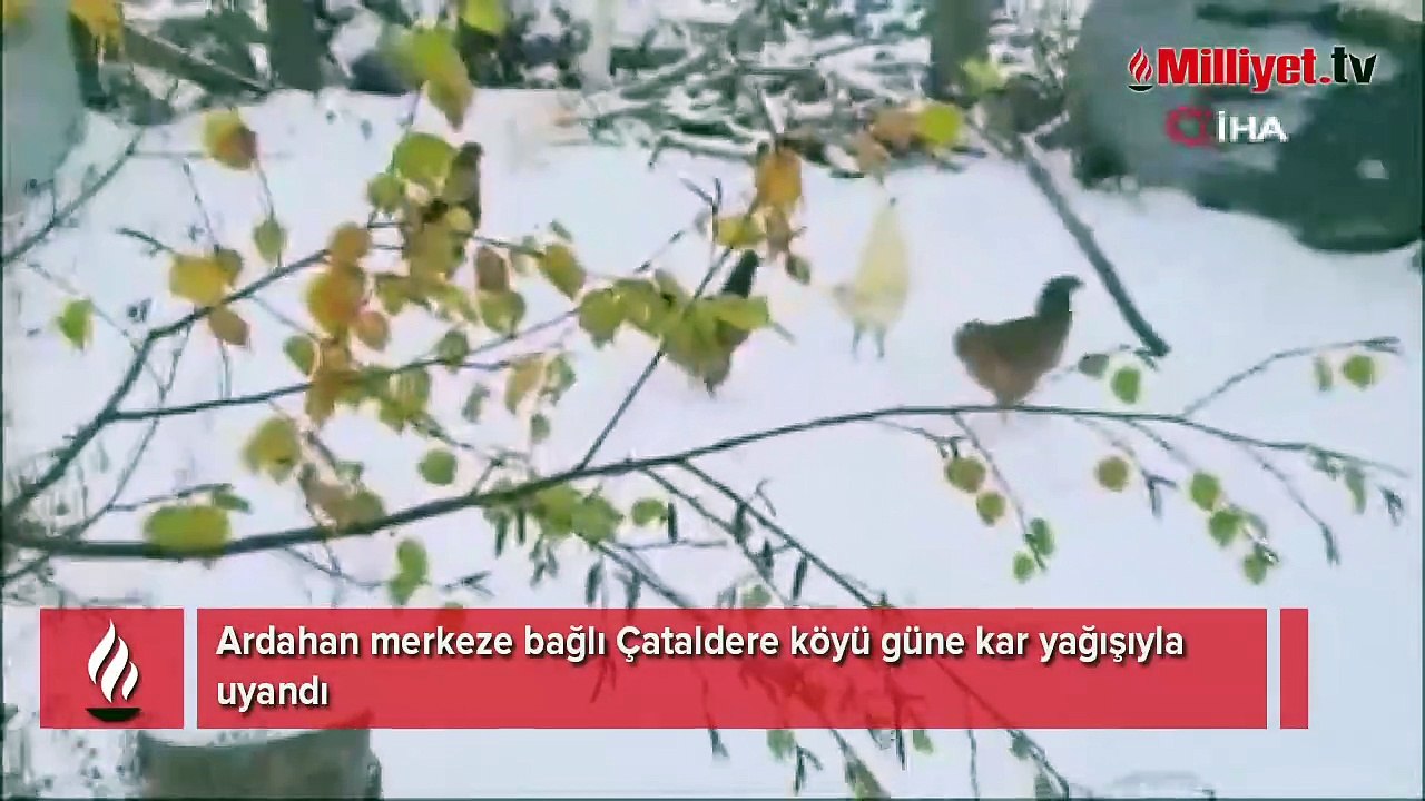 Ardahan güne kar yağışıyla uyandı