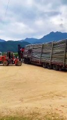 Video of a semi-trailer truck pulling bamboo and quickly unloading it at the factory.