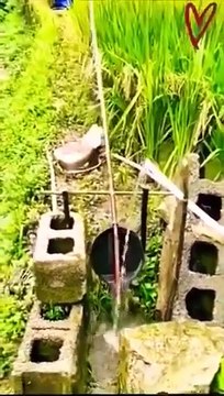 Agricalture Innovations #shorts #shortvideo #video #virals #videoviral #shorts #shortvideo #video #virals #videoviral #innovationhub