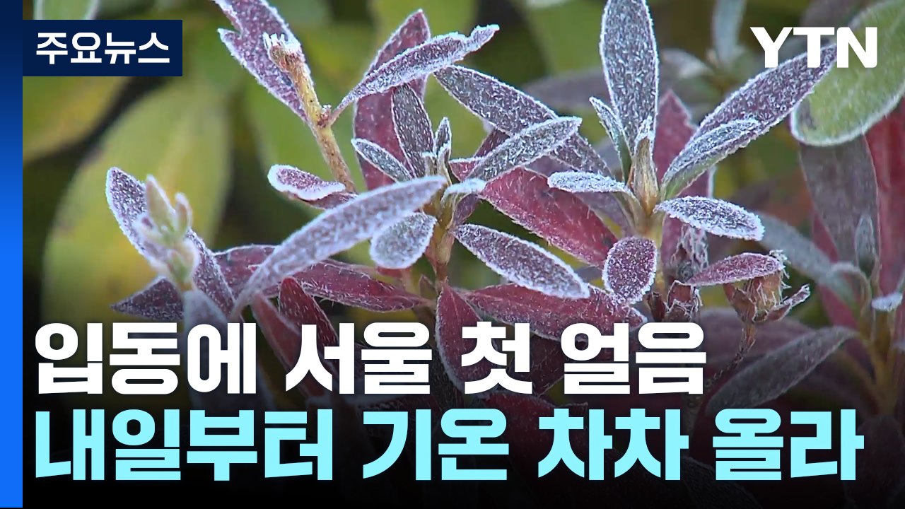 [날씨] '입동 추위'에 서울 첫얼음까지...내일 낮부터 추위 풀려 / YTN