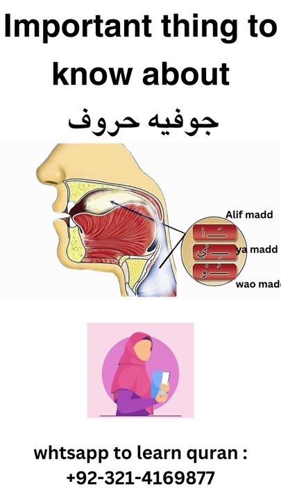 jawfia letters | important things to know #Arabic #Quran #tajweed #learn #makhrij