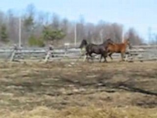 Jay-Bee fait la folle