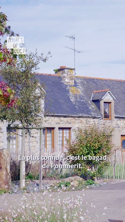 La Consult’ d'Anne Lozahic : « À la MSP de Pommerit-le-Vicomte, on est heureux d’être libre dans notre activité, on est très entouré, on peut développez des projets et en plus, le cadre de vie est très agréable ! »