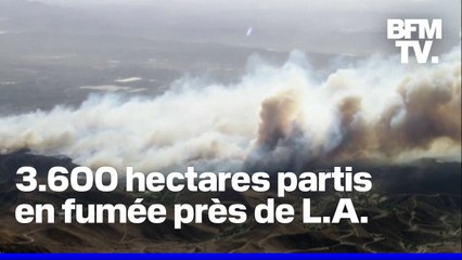 Un incendie se propage au nord de Los Angeles