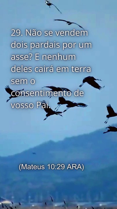 Mateus 10:29