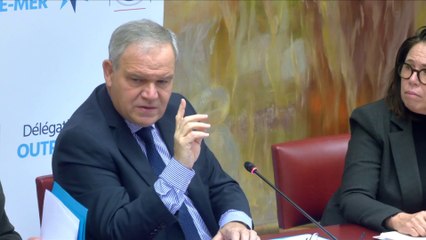 Martinique : « Il faut une réforme structurelle pour répondre au problème de la vie chère »