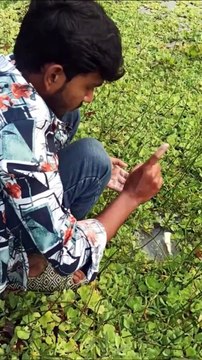 The guy shows SURVIVAL skills 🧼 #camping #survival #bushcraft #outdoors #lifehack