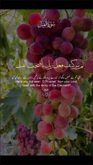 VID-20241107-WA0087