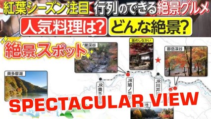 絶景スポット! 秋の絶景&味覚で大人気のグルメ店 autumn view Restaurant