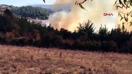 BURSA’nın 2 ilçesinde orman yangını