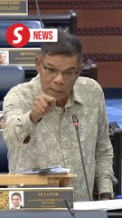 Concerted effort needed to resolve issue of illegal foreign-run businesses, says Saifuddin