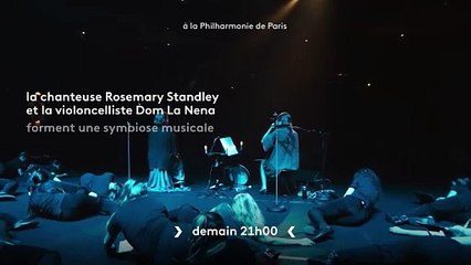 Birds on a Wire - Le Chant des oiseaux - 7 novembre