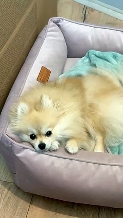 Chloe - Tired of me Working