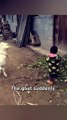 What Looked Like a Goat’s Attack Becomes a Playful Moment