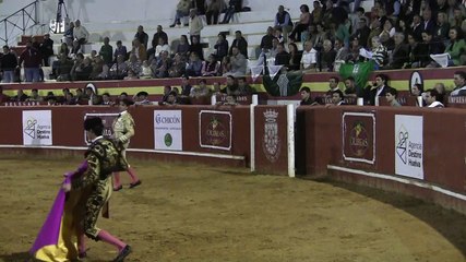 ALFONSO ALONSO NIEBLA 2º TORO