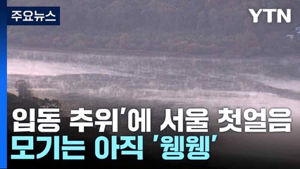 [날씨] '입동 추위'에 서울 첫얼음까지...모기는 아직 '웽웽' / YTN