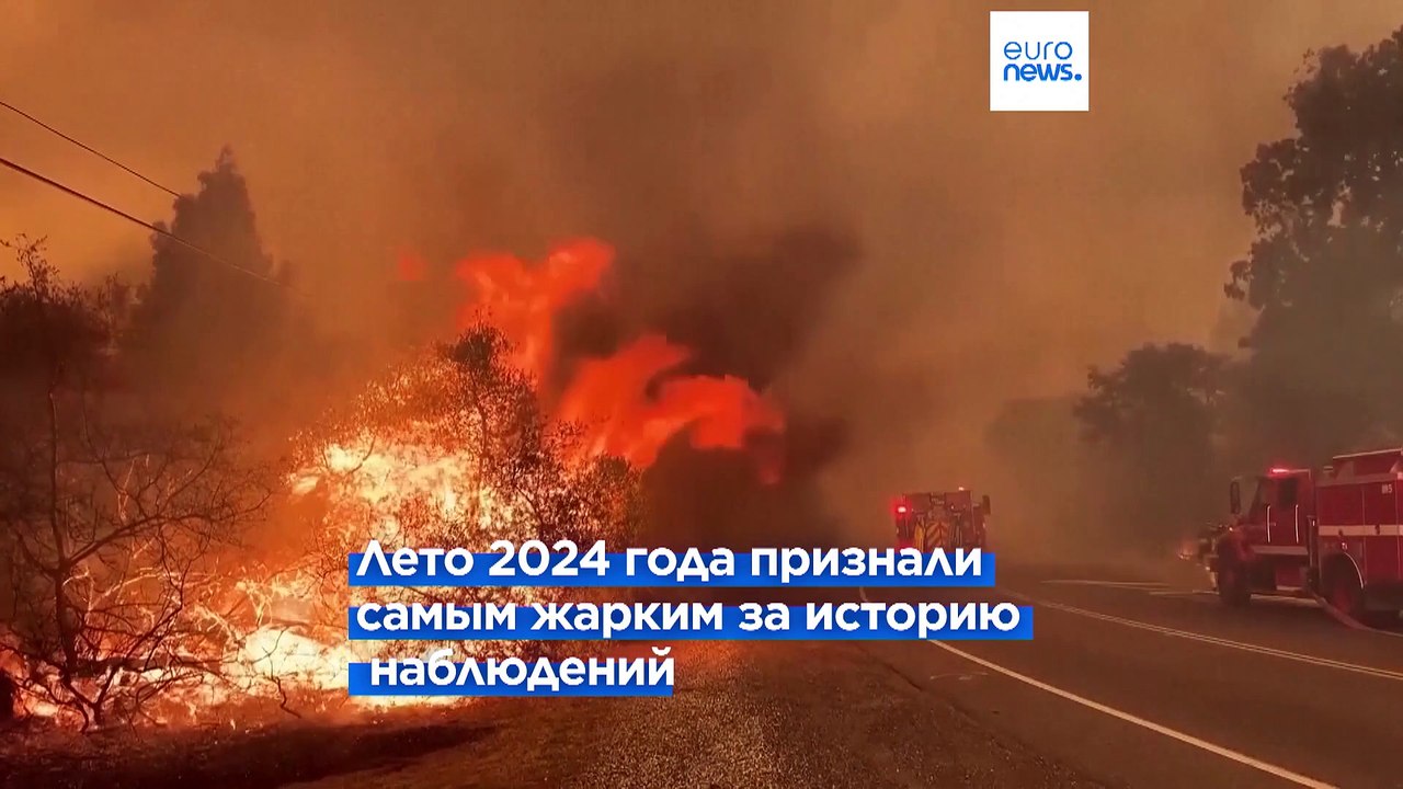 2024 год войдет в историю как самый жаркий