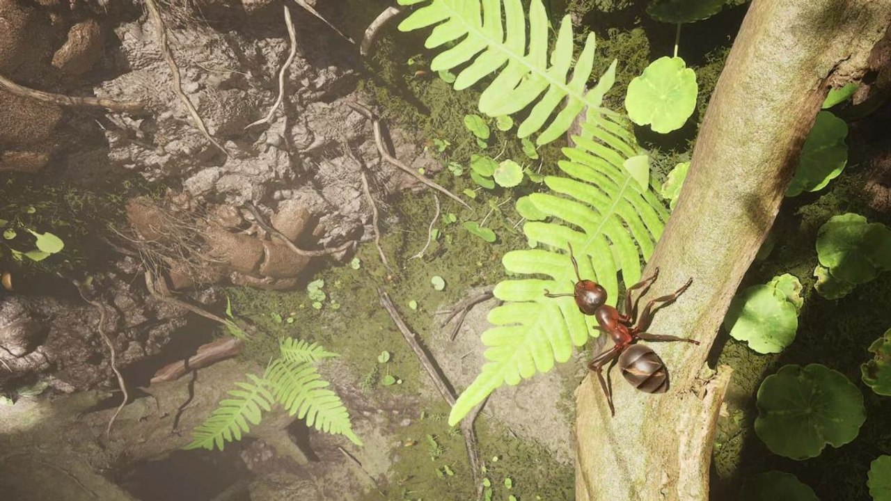 "Enfin quelque chose de différent", ce jeu cartonne actuellement sur Steam, il vous permet de mener des batailles épiques : ne loupez pas Les Fourmis