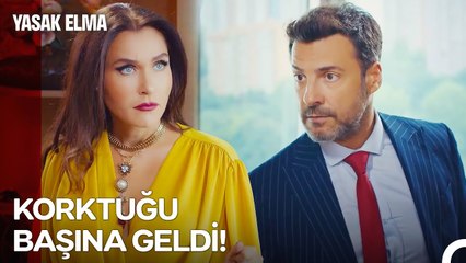 Ender, Hisseler ve Kaya'nın Arasında Kaldı! - Yasak Elma 77. Bölüm