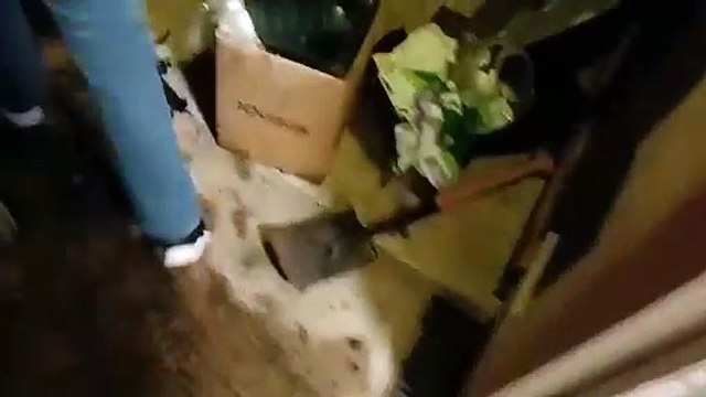 Youths set fireworks off in Blackpool flats, November 6, 2024