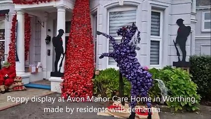 See the spectacular poppy display at Avon Manor Care Home in Worthing, made by residents with dementia