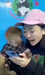 "When Pets Don’t Know What’s Going On!"