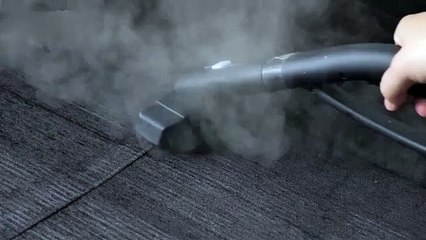 BISSELL Steam Shot OmniReach Handheld Steam Cleaner