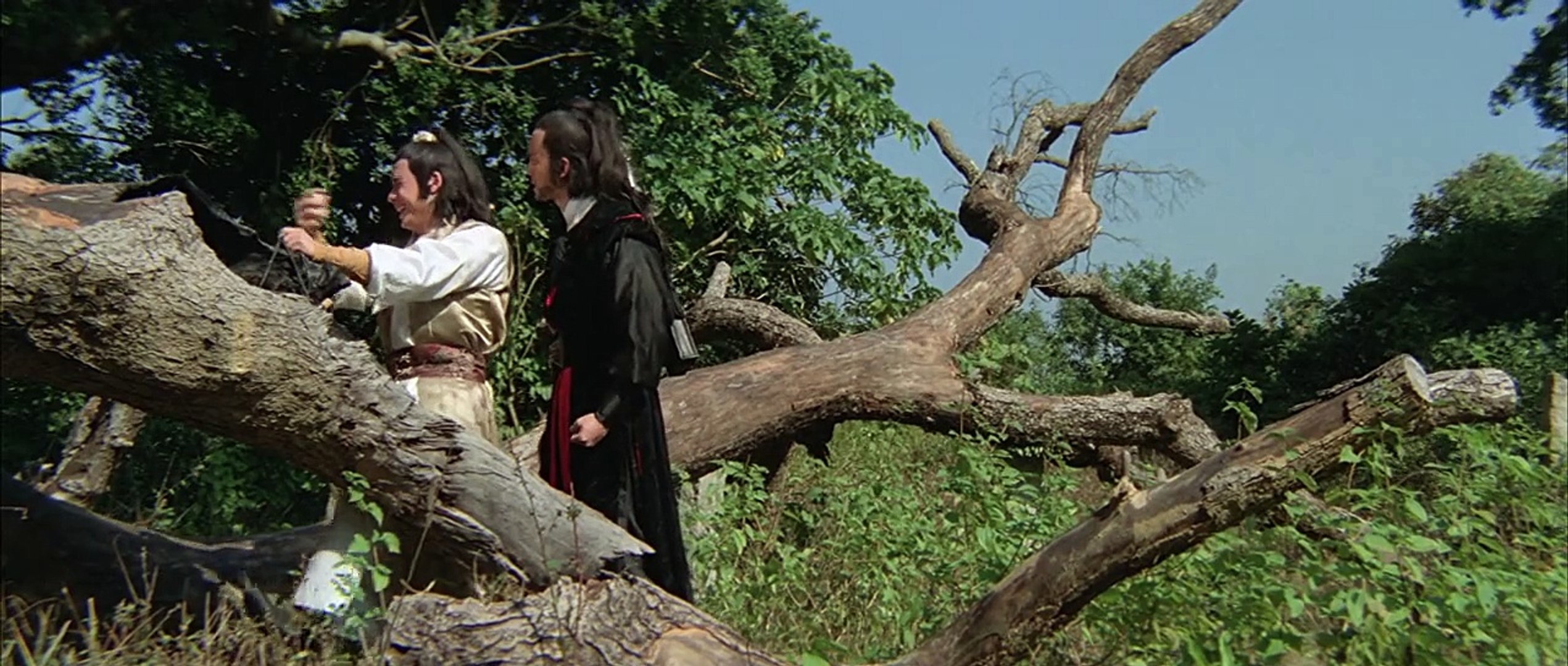 【輸入DVD】The Avenging Eagle (78) (英語字幕あり) The Avenging Eagle 冷血十三鷹 (1978) (DVD) (English