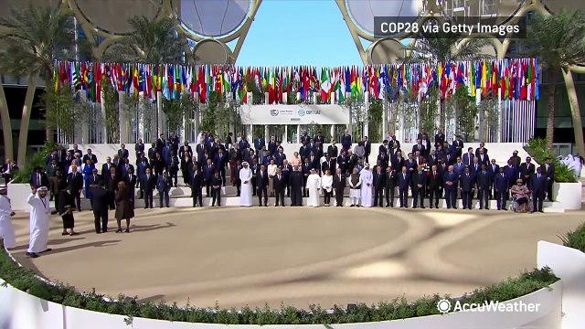 What will this year's COP29 conference do to address climate change on a global level?