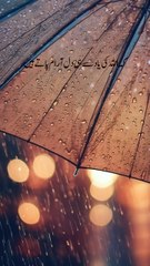 Beautiful Islamic video🌹 #islamicquotes #islamics