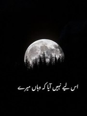 Beautiful Islamic video🌹 #islamicquotes #islamics