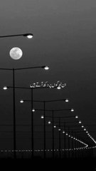 Beautiful Islamic video🌹 #islamicquotes #islamics