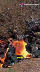 Massive Fire in Plastic Bottle Warehouse!